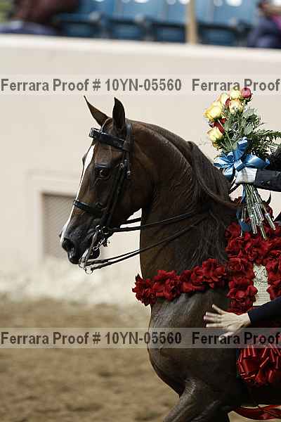 Proof 10yn-05560