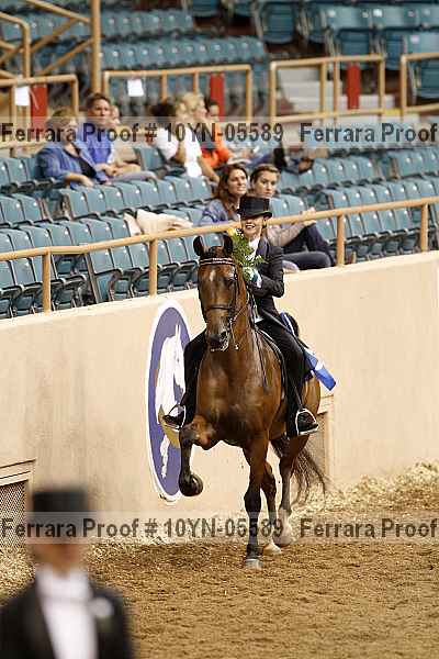 Proof 10yn-05589