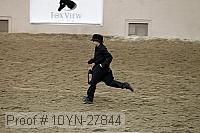 10yn-27844 proof