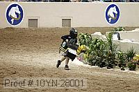 10yn-28001 proof
