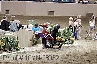 10yn-28032 proof