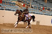 10yn-28082 proof