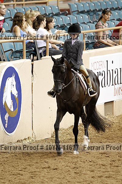 Proof 10yn-11677