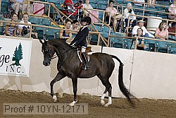 10yn-12171 proof