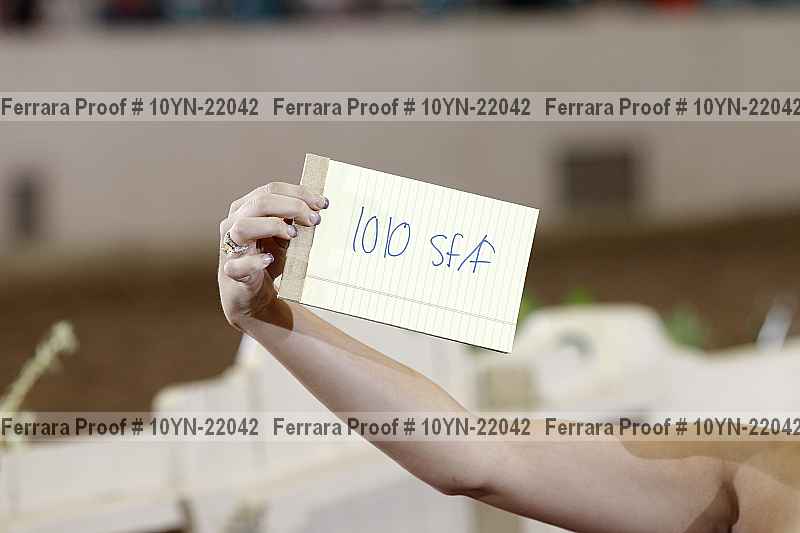 Proof 10yn-22042