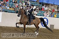 10yn-22052 proof