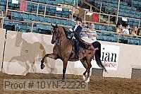 10yn-22226 proof
