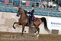 10yn-22227 proof