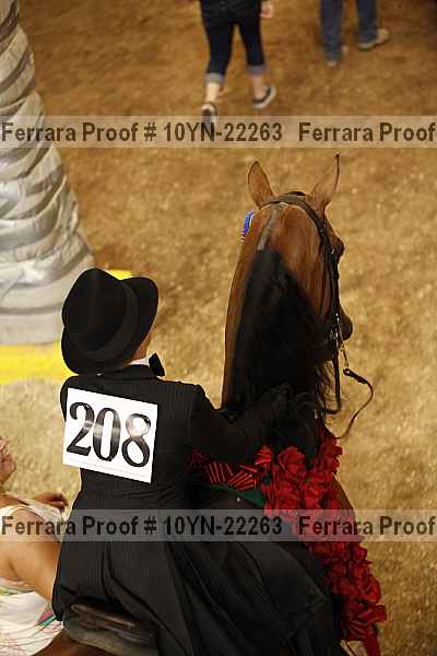Proof 10yn-22263