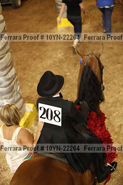 Proof 10yn-22264