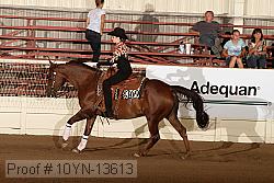 10yn-13613 proof