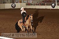 10yn-16151 proof