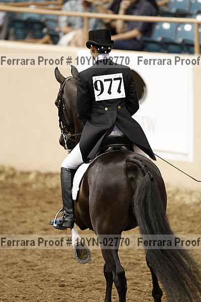 Proof 10yn-02770