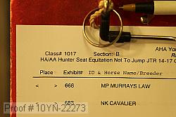 10yn-22273 proof
