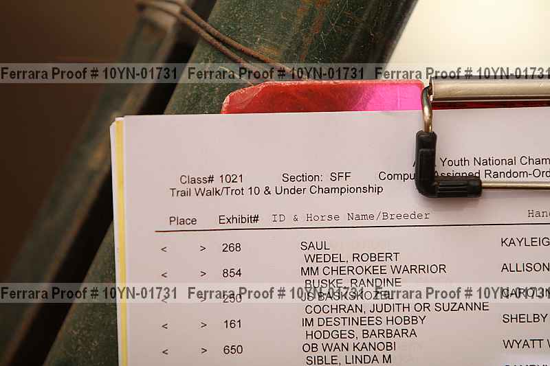 Proof 10yn-01731