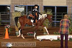 10yn-01733 proof