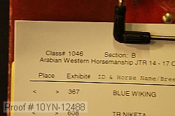 10yn-12488 proof