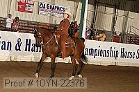 10yn-22376 proof