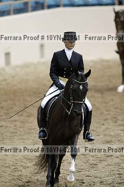 Proof 10yn-02801