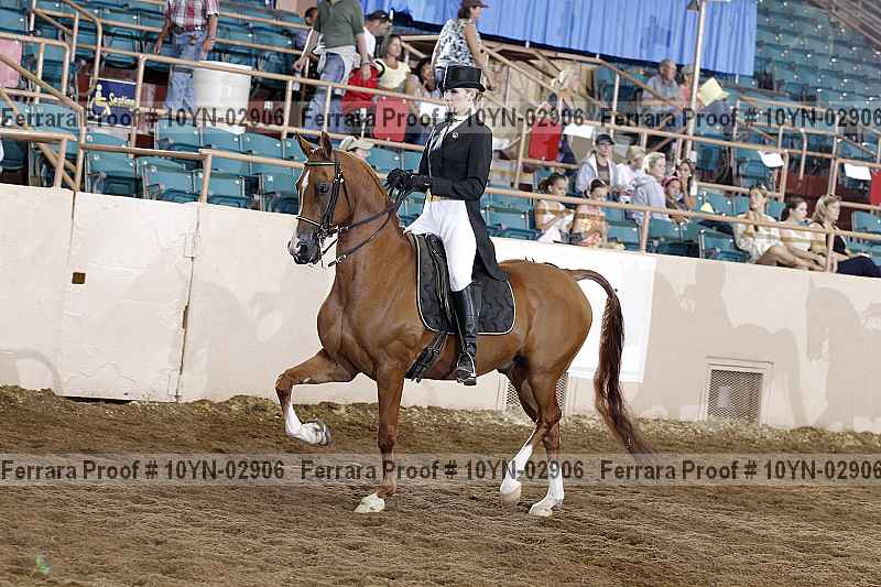 Proof 10yn-02906