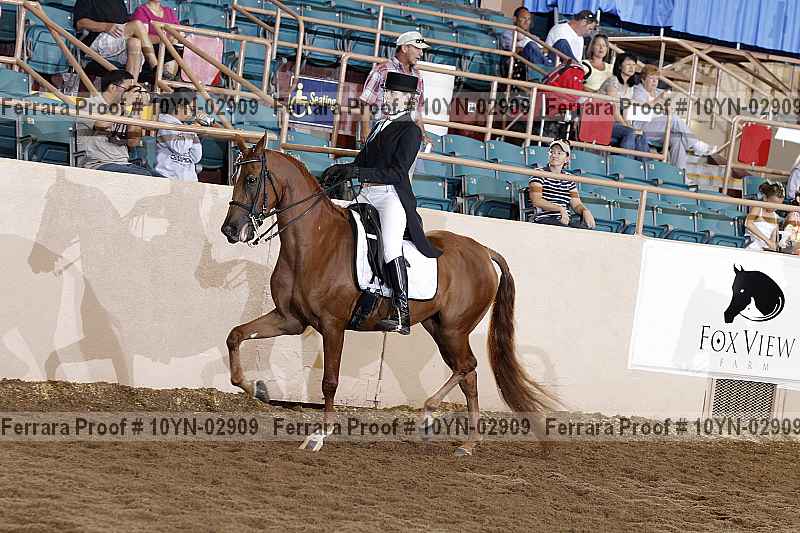 Proof 10yn-02909