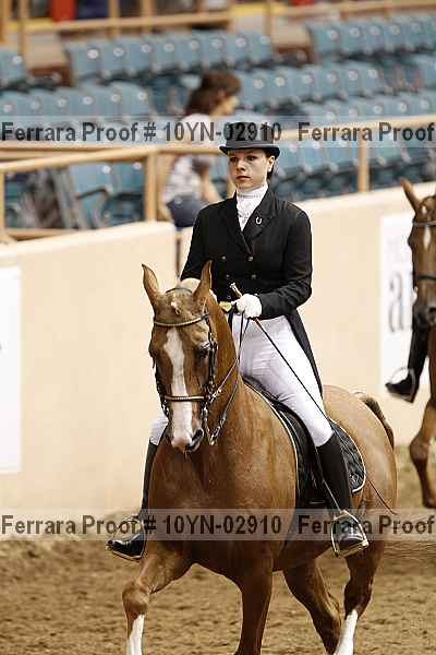Proof 10yn-02910