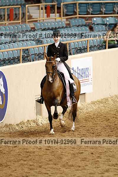 Proof 10yn-02960