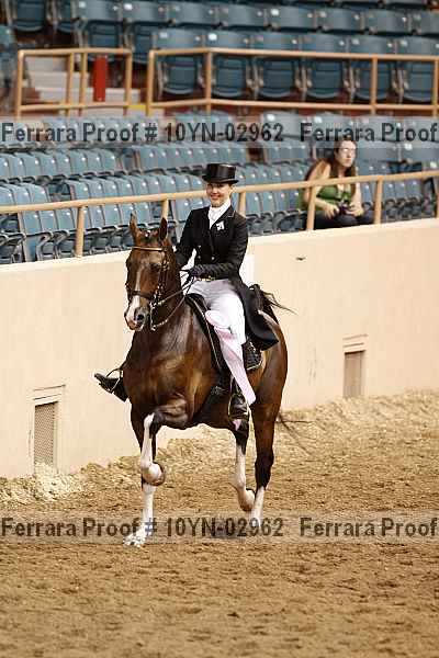 Proof 10yn-02962