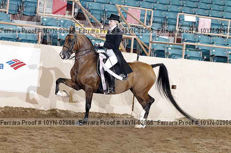 Proof 10yn-02966