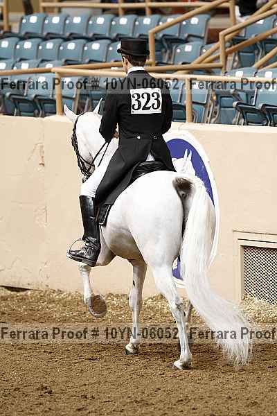 Proof 10yn-06052