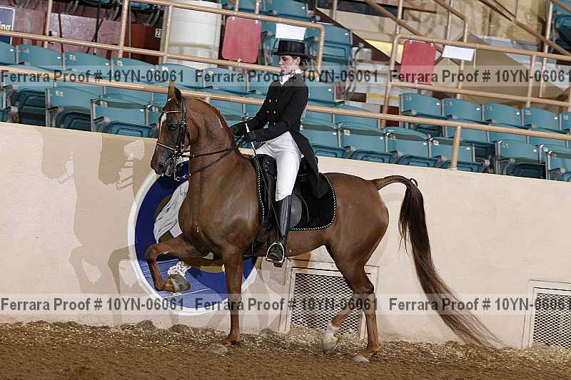 Proof 10yn-06061