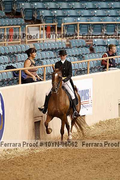 Proof 10yn-06062