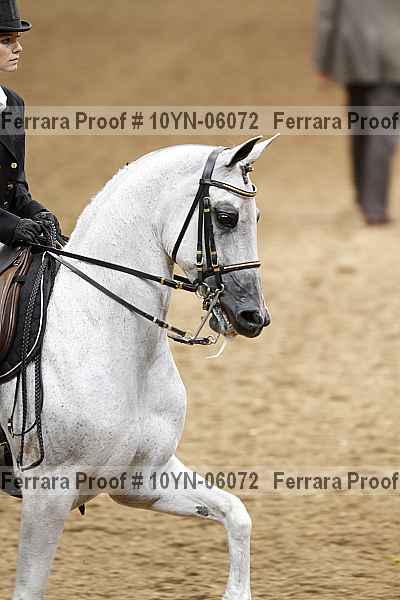 Proof 10yn-06072
