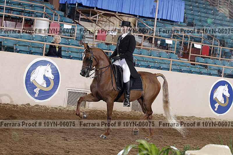 Proof 10yn-06075