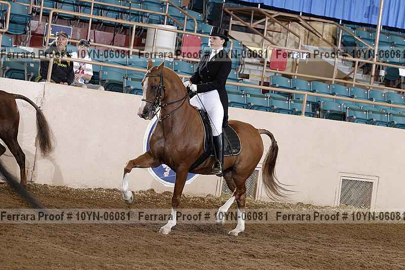 Proof 10yn-06081