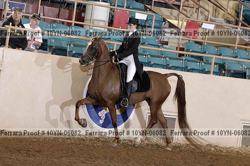 Proof 10yn-06082