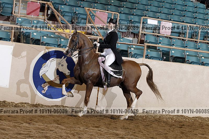 Proof 10yn-06089
