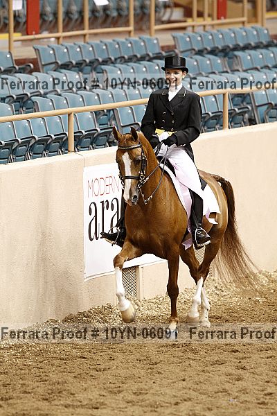 Proof 10yn-06091