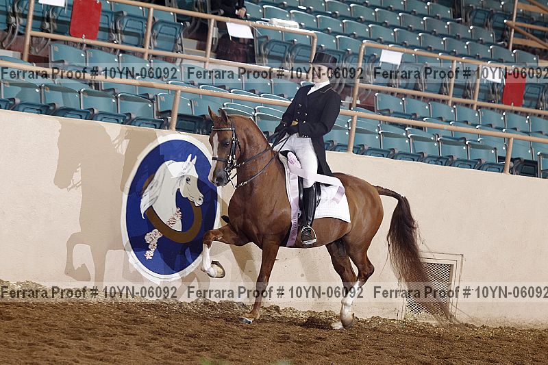 Proof 10yn-06092