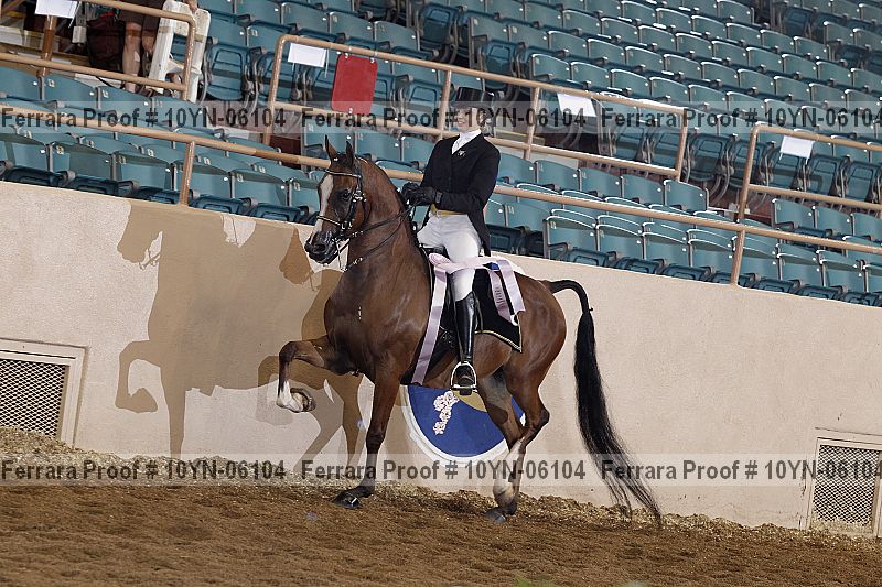 Proof 10yn-06104