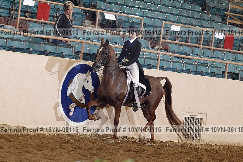 Proof 10yn-06115