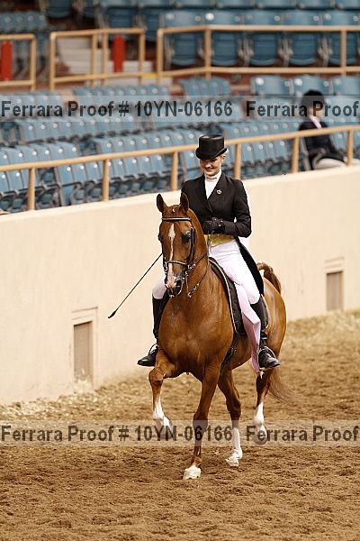 Proof 10yn-06166