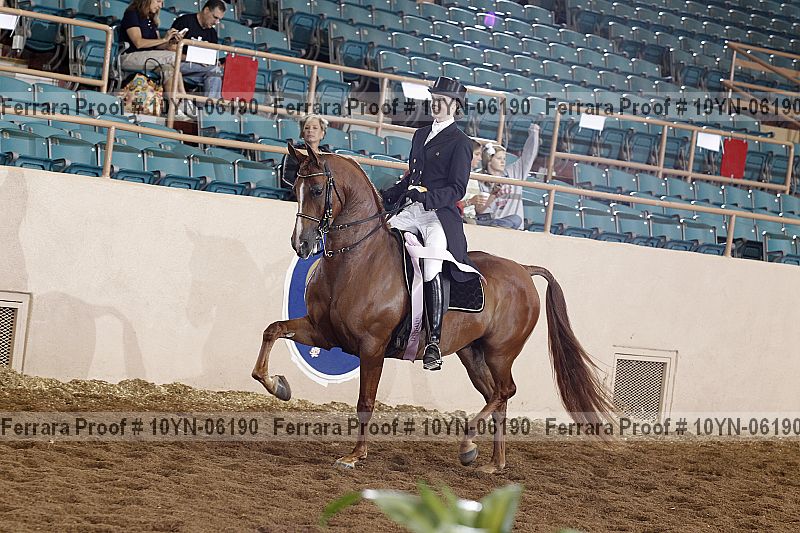 Proof 10yn-06190