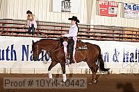 10yn-10442 proof