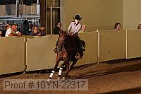 10yn-22317 proof