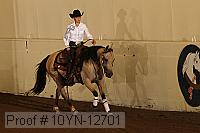 10yn-12701 proof