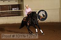 10yn-12717 proof