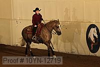10yn-12719 proof