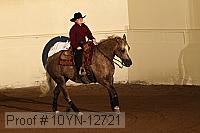 10yn-12721 proof