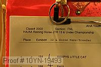 10yn-19493 proof